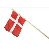 Barlife Viftflagga På Pinne 60cm