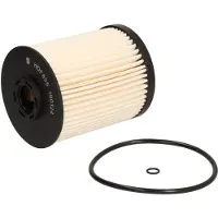 Delphi Bränslefilter HDF895