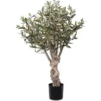 Mr Plant Olivträd konsträd