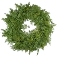 Mr Plant Cypresskrans Ø70cm