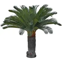Newport Cycas palm konstträd grön