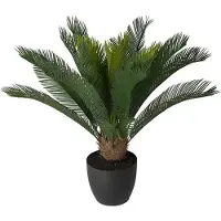 Mr Plant Cycas krukväxt grön