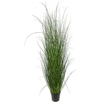 Mr Plant Gräs krukväxt grön