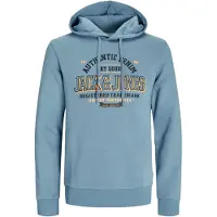 Jack & Jones Logo 2 Col Huvtröja