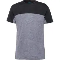Icebreaker Merino 125 Cool-lite Sphere Iii Colour Block T-shirt Med Korta ärmar