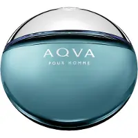 Bvlgari Aqva Pour Homme Eau de Toilette 100 ml