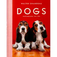 Dogs. Walter Chandoha. Photographs 1941–1991