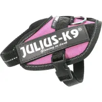 JULIUS K-9 Idc Power Hundsele