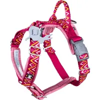 Hurtta Razzle-Dazzle Y-harness 45-55 cm, Beetroot