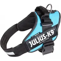 JULIUS K-9 Idc Power Hundsele