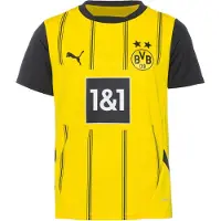 Puma Bvb Borrussia Dortmund 24/25 Hemma Junior T-shirt Med Kort ärm