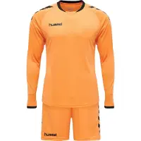 Hummel Core Långärmad Uppsättning