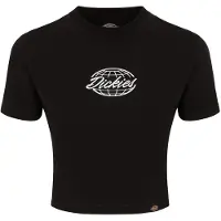 Dickies Globe T-shirt Med Korta ärmar