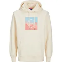 Jack & Jones Aruba Sunset Branding Tröja Med Huva