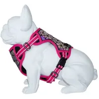 Freedog Boreal Hundsele