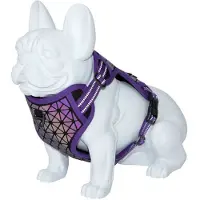 Freedog Boreal Hundsele