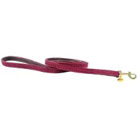 Kentucky Nylon Plaited Hundkoppel 12 Mm