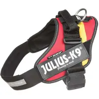 JULIUS K-9 Idc Power Hundsele