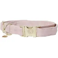 Kentucky Velvet Hundhalsband