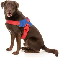 Fuzzyard Patriot Hundsele
