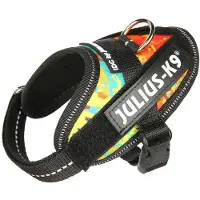 JULIUS K-9 Idc Power Baby Hundsele