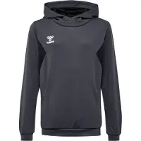 Hummel Authentic Pl Tröja Med Huva