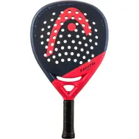 Head Racket Radical Motion 2024 Padelracket