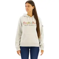Superdry Rainbow Logo Huvtröja