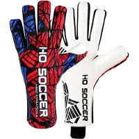 Ho Soccer Evolution Shield Målvaktshandskar