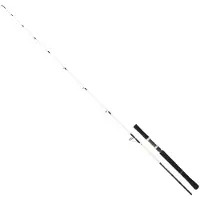 Daiwa Saltist Off Shore Jigging-spö