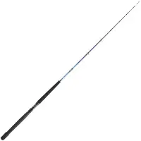 Daiwa Tanacom Boat Bottenfiskespö