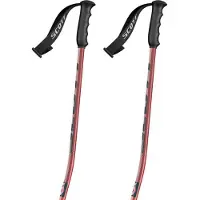 SCOTT Team Issue Gs Stavar