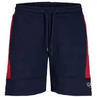 Jack & Jones Jpstdan Bloking Shorts