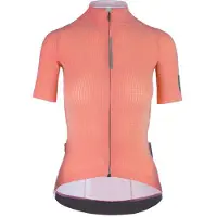 Q36.5 Pinstripe Pro Korta ärmar Cykeltröja