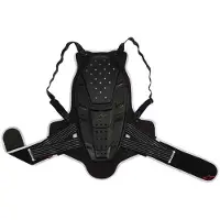 Alpinestars Bionic Ryggskydd
