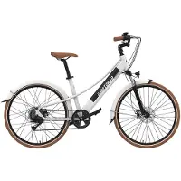 Emotorad Plymouth Elcykel