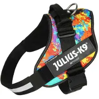 JULIUS K-9 Idc Power Hundsele