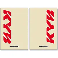 Tecno-x Kyb Fork Protector Grafikpaket