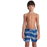 Arena Allover Simshorts