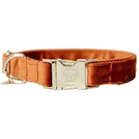 Kentucky Velvet Hundhalsband