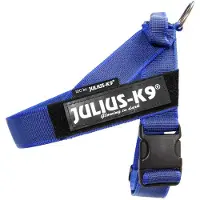 Julius-K9 Idc Norwegian Hundsele