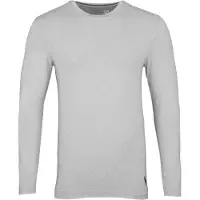Ralph Lauren T-shirt 'Spring Start SHP 6' ljusgrå