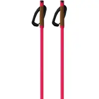 Fischer Storm Gtx L Stavar