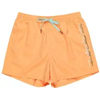 Quiksilver Behind Wave Simshorts