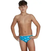 Speedo Flipper Phone Allover 6.5 Cm Badbyxor
