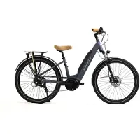 Granville E-absolute 15 Acera Elcykel