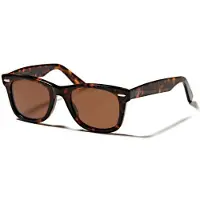 Ocean Sunglasses Walker Solglasögon