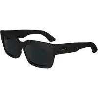 Calvin Klein Butterfly Sunglasses Ck24512s