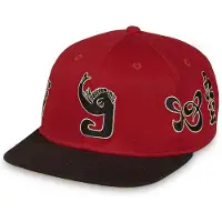 Grimey Tusker Temple Bicolor Snapback-keps