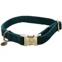 Kentucky Velvet Hundhalsband